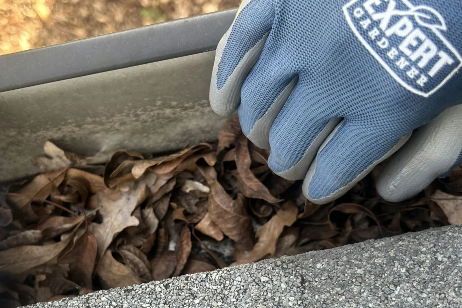 Gutter Cleaning Heritage Palms