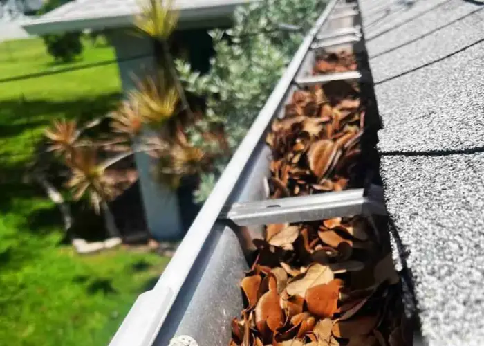 Gutter Cleaning Heritage Palms home page